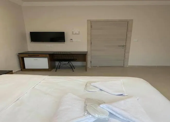 Ender Elite Hotel * 尼科西亚